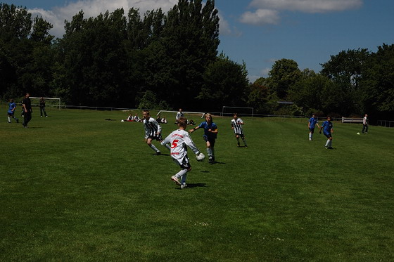 Bild vom Spieltag